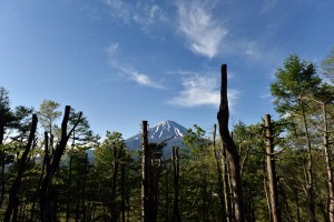 _DSC8868