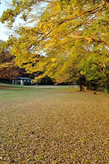 DSC_0151_R
