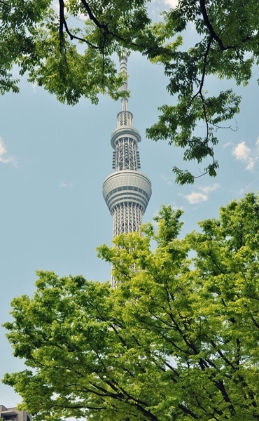 DSC_0198A_R
