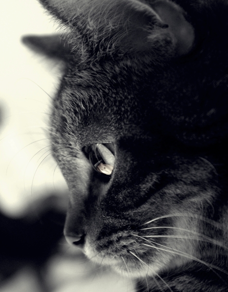 IMGP6339A_R