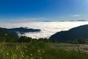 IMG_2311