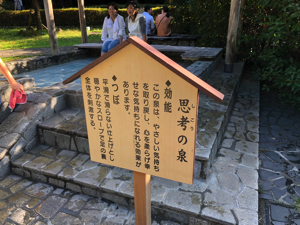 IMG_2632 copy