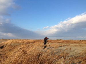 IMG_3006