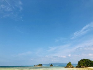 IMG_9353 copy