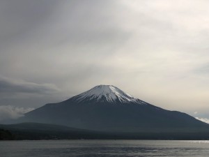 IMG_9909 copy