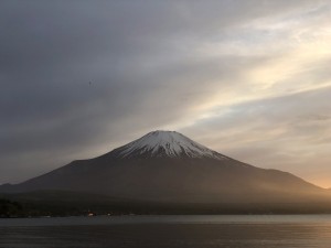 IMG_9929 copy