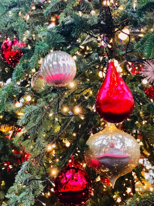 christmas_1