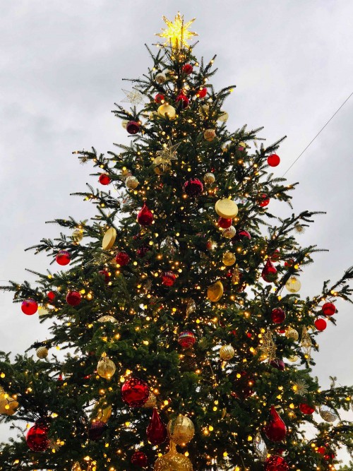christmas_3