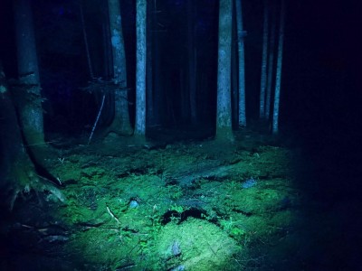 mori_1
